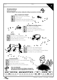 Klassen 3/4